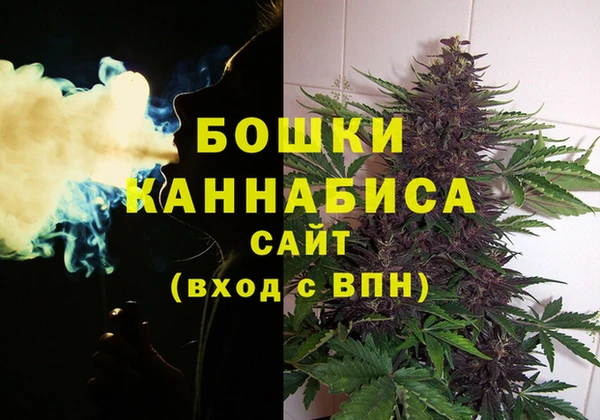 ешки Нея