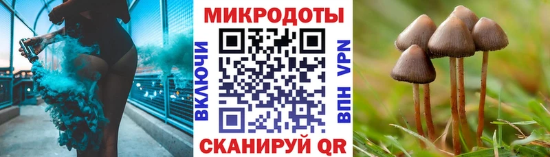 Галлюциногенные грибы GOLDEN TEACHER  закладки  Тамбов 
