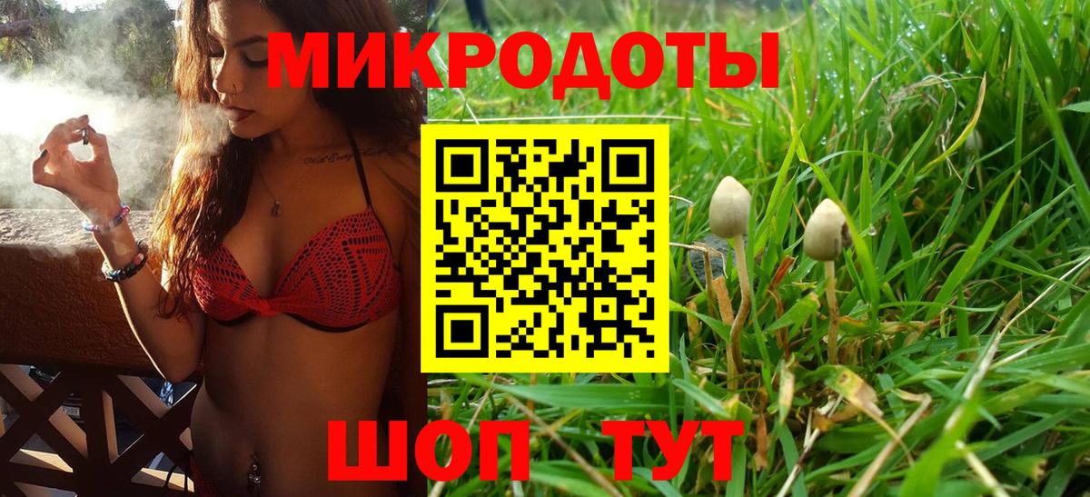 Бошки Шишки Тамбов