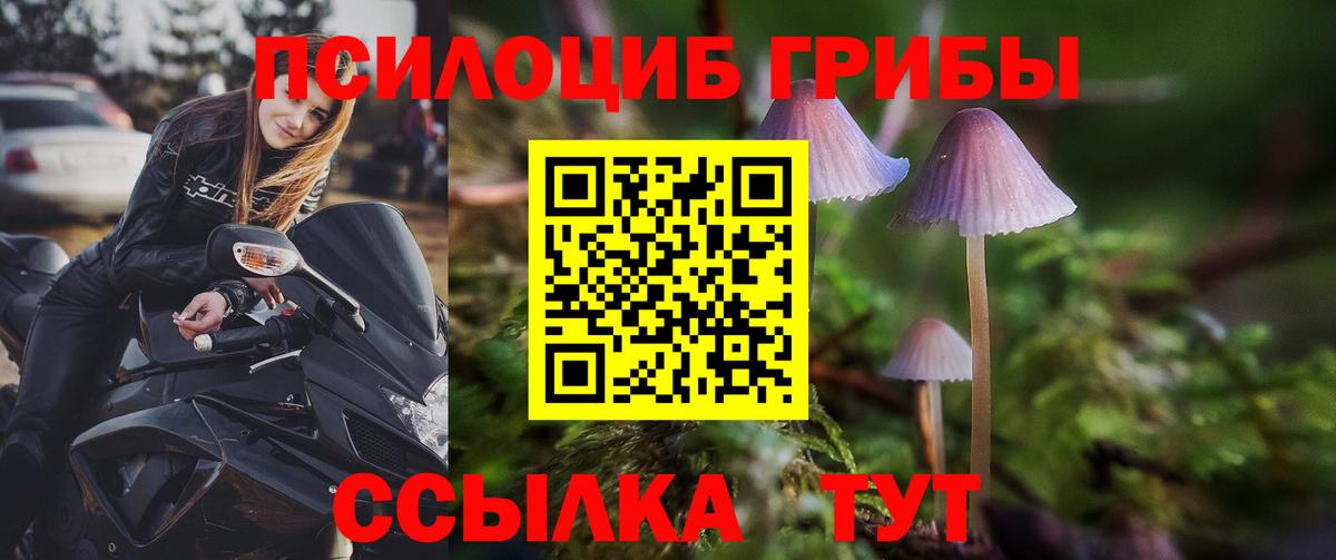 Псилоцибиновые грибы ЛСД  Вход с VPN  Тамбов 